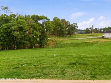 PRICED TO SELL! Cleared and ready-to-build lot in Tennessee - photo 2