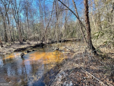 (private lake, pond, creek) Acreage For Sale in Jeffersonville Georgia