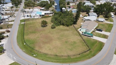 Lake Lot For Sale in Ruskin, Florida