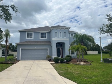 (private lake, pond, creek) Home For Sale in Ellenton Florida