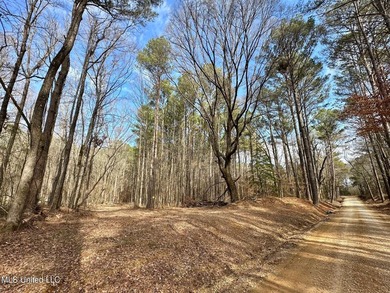 +/- 1,646 acre hardwood timber river bottom hunting tract in - photo 5