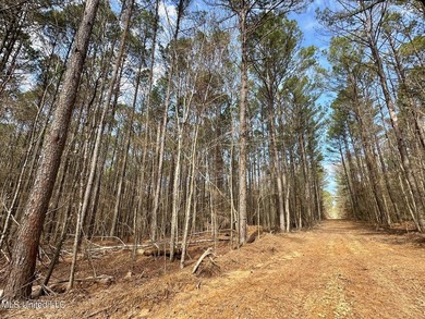 +/- 1,646 acre hardwood timber river bottom hunting tract in - photo 6