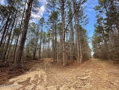 +/- 1,646 acre hardwood timber river bottom hunting tract in - photo 7