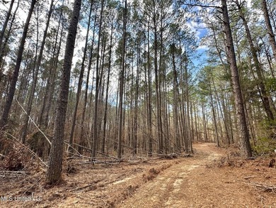 +/- 1,646 acre hardwood timber river bottom hunting tract in - photo 8