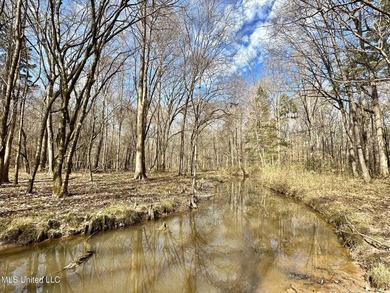 +/- 1,646 acre hardwood timber river bottom hunting tract in - photo 9