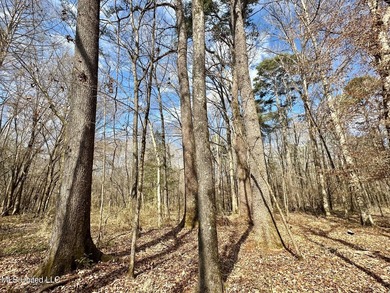 +/- 1,646 acre hardwood timber river bottom hunting tract in - photo 10