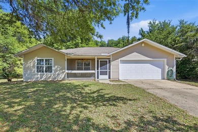 Little Orange Lake Home For Sale in Hawthorne Florida