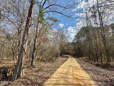 +/- 625 acre hardwood timber river bottom hunting tract in - photo 4