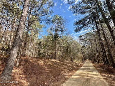 +/- 625 acre hardwood timber river bottom hunting tract in - photo 5