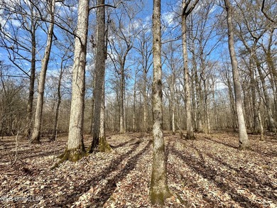 +/- 625 acre hardwood timber river bottom hunting tract in - photo 9