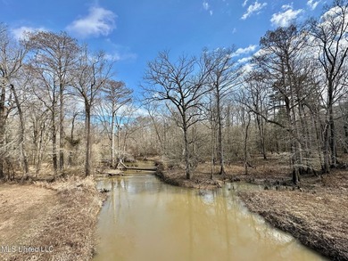 +/- 438 acre hardwood timber river bottom hunting tract in - photo 3
