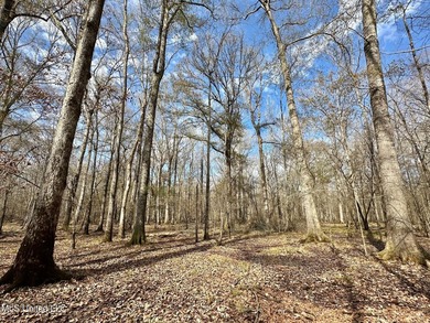 +/- 438 acre hardwood timber river bottom hunting tract in - photo 5