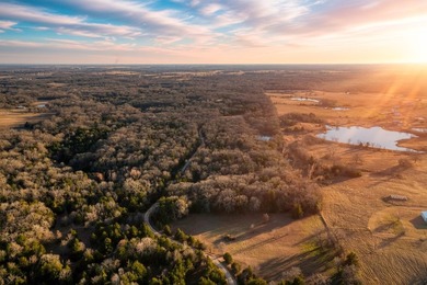This beautiful 11-acre property is a true nature lover's - photo 3