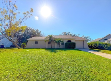 Lake Home Sale Pending in Land O Lakes, Florida