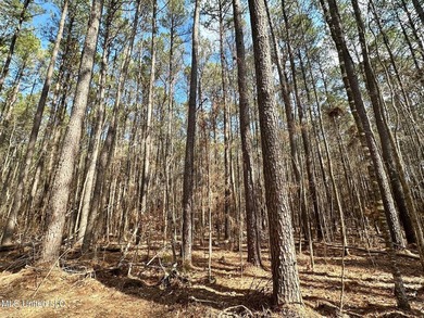 +/- 269 acre hardwood timber river bottom hunting tract in - photo 3