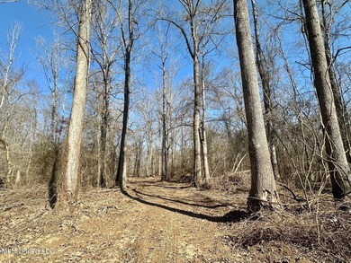 +/- 269 acre hardwood timber river bottom hunting tract in - photo 5