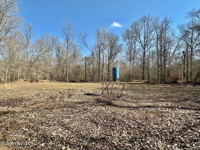 +/- 269 acre hardwood timber river bottom hunting tract in - photo 7