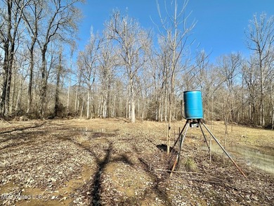 +/- 269 acre hardwood timber river bottom hunting tract in - photo 8