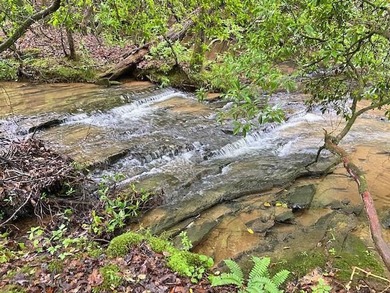 (private lake, pond, creek) Acreage For Sale in Ball Ground Georgia
