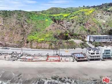 A Rare Coastal Canvas Awaits on the Iconic Pacific Coast Highway - photo 8