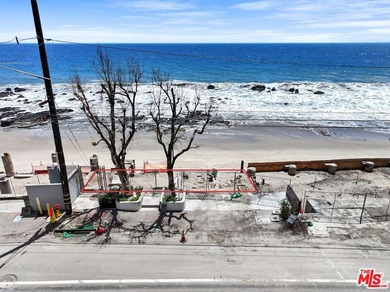 A Rare Coastal Canvas Awaits on the Iconic Pacific Coast Highway - photo 9