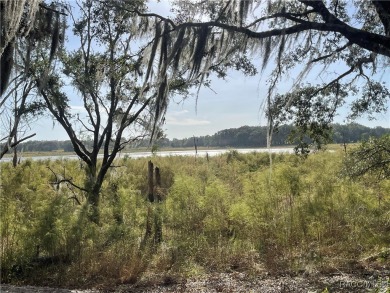 Bonable Lake Lot For Sale in Dunnellon Florida