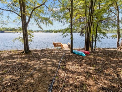 Tucked along the shores of Lake Robinson, this beautifully - photo 3