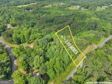 Lake Lanier Lot For Sale in Murrayville Georgia