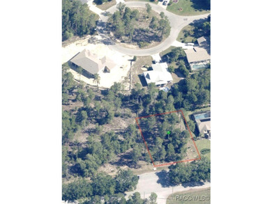 Premium home site in Oak Village at Sugarmill Woods. Block 171 - photo 3