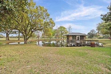 Stunning Estate Home on 26 +/- Acres in Desirable West Mobile! - photo 42