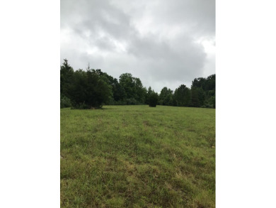 Acreage For Sale in West Liberty Kentucky