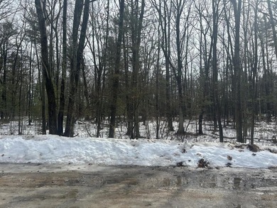 Tucked away on a quiet cul-de-sac, this beautiful private wooded - photo 4