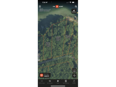 Lake Lot Sale Pending in Irons, Michigan