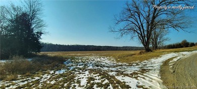 3 bdrm 2 1/2 bath home on 76 gorgeous acres with 2 ponds! This - photo 42