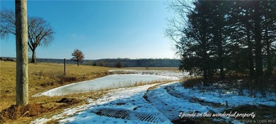 3 bdrm 2 1/2 bath home on 76 gorgeous acres with 2 ponds! This - photo 44