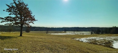 3 bdrm 2 1/2 bath home on 76 gorgeous acres with 2 ponds! This - photo 47
