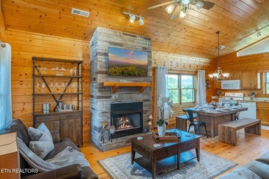Great views of the Smoky Mountains! Generating just under $65K - photo 7