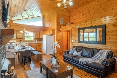 Great views of the Smoky Mountains! Generating just under $65K - photo 8
