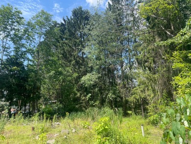 Harveys Lake Lot For Sale in  Pennsylvania