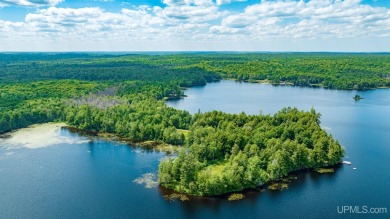 Marion Lake Acreage For Sale in Watersmeet Michigan