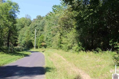 Amazing 1.75 acre property that is ready to develop your dream - photo 12