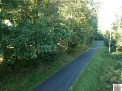 Amazing 1.75 acre property that is ready to develop your dream - photo 13
