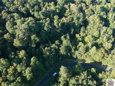 Amazing 1.75 acre property that is ready to develop your dream - photo 14