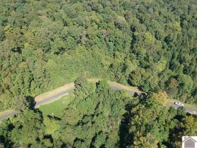 Amazing 1.75 acre property that is ready to develop your dream - photo 15