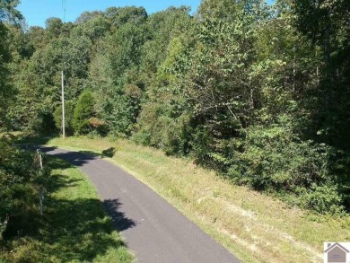 Amazing 1.75 acre property that is ready to develop your dream - photo 17