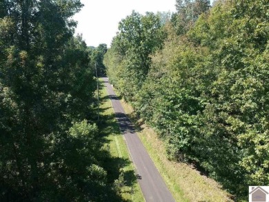 Amazing 1.75 acre property that is ready to develop your dream - photo 23