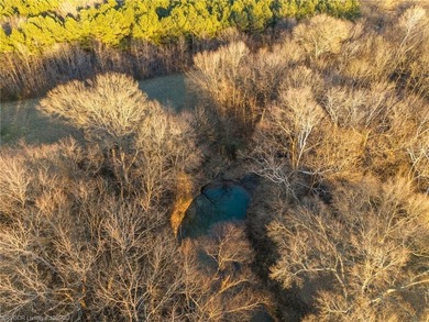 34.73 Acres in the Award-Winning Greenwood School District A - photo 9