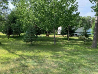 Lake Lot Off Market in Nekoosa, Wisconsin