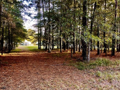 Lake Lot For Sale in Pachuta, Mississippi