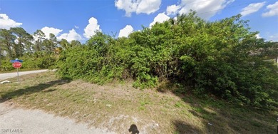 Lehigh Acres Area Lot For Sale in Lehigh Acres Florida